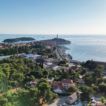 Villa Dobravac Wine Estate Ровінь Екстер'єр фото